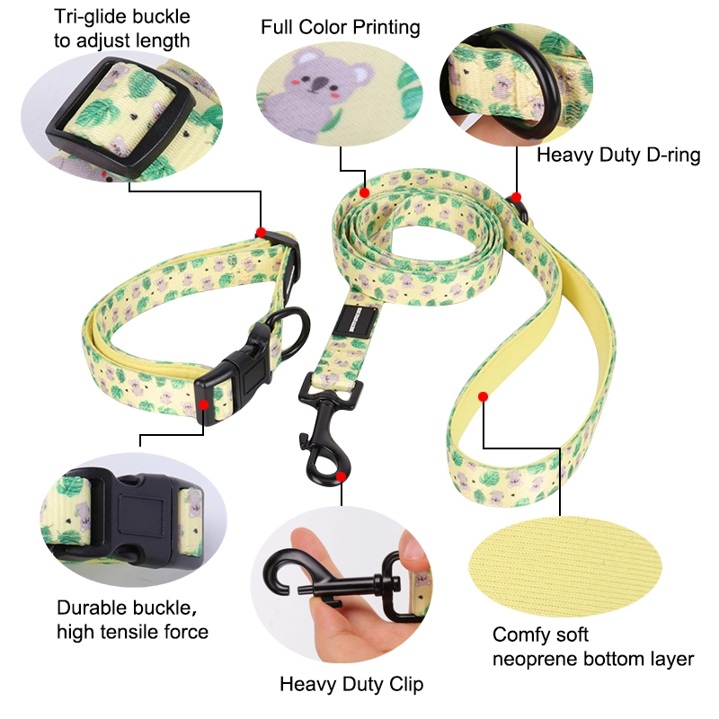 OKEYPETS Vente en gros de produits pour animaux de compagnie Laisse pour chien d'extérieur avec poignée rembourrée douce et confortable pour l'entraînement et la course 9