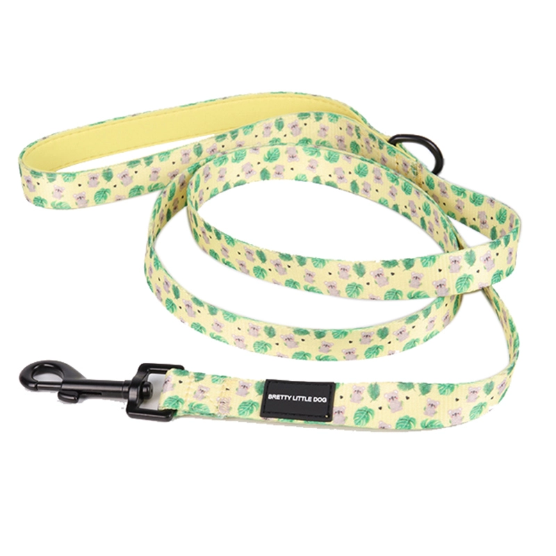 OKEYPETS Vente en gros de produits pour animaux de compagnie Laisse pour chien d'extérieur avec poignée rembourrée douce et confortable pour l'entraînement et la course 10