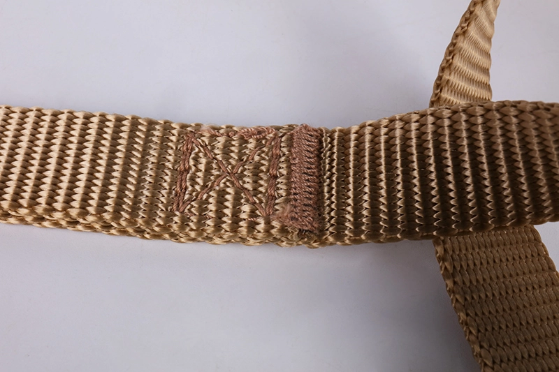 Laisse d'entraînement pour chien OKEYPETS en nylon souple, résistant et durable 9