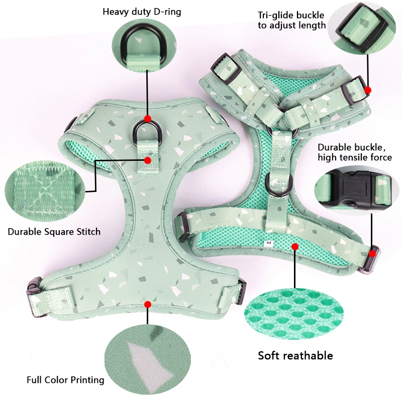 OKEYPETS húzásmentes kutyahám és pórázkészlet puha hálós kutyapóráz kültéri sétákhoz 7