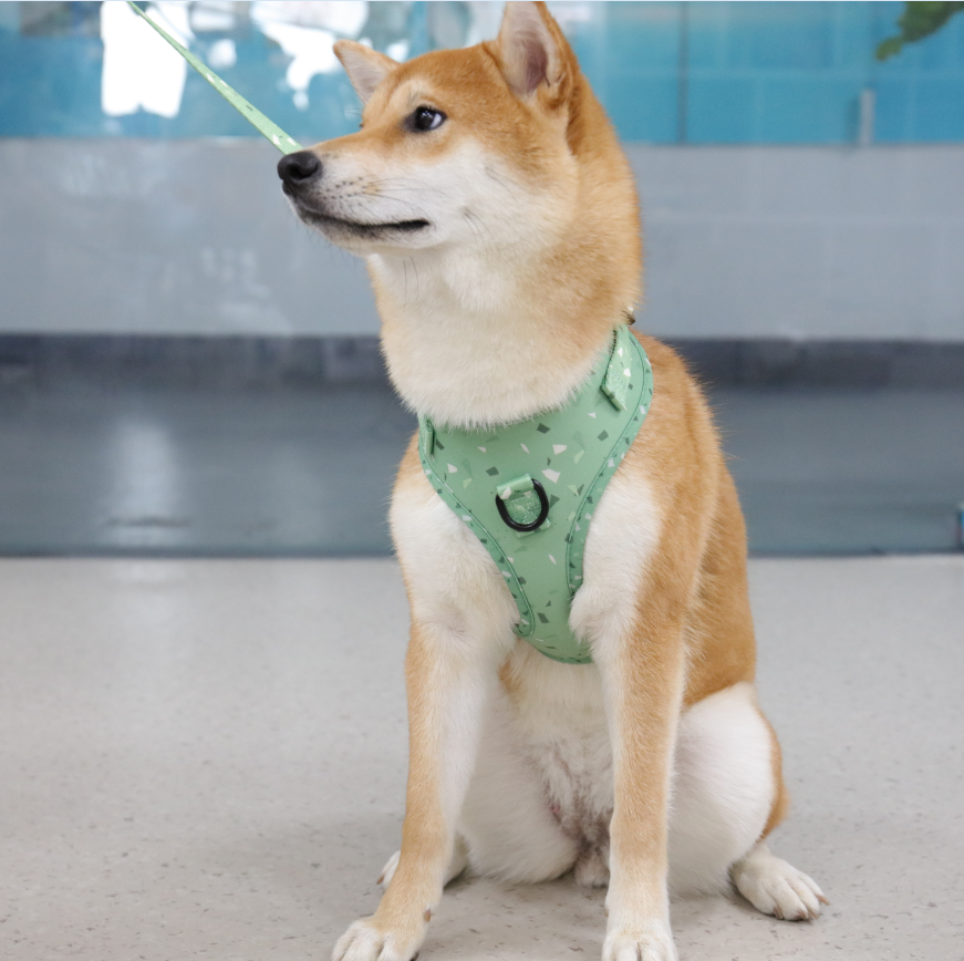 OKEYPETS húzásmentes kutyahám és pórázkészlet puha hálós kutyapóráz kültéri sétákhoz 11