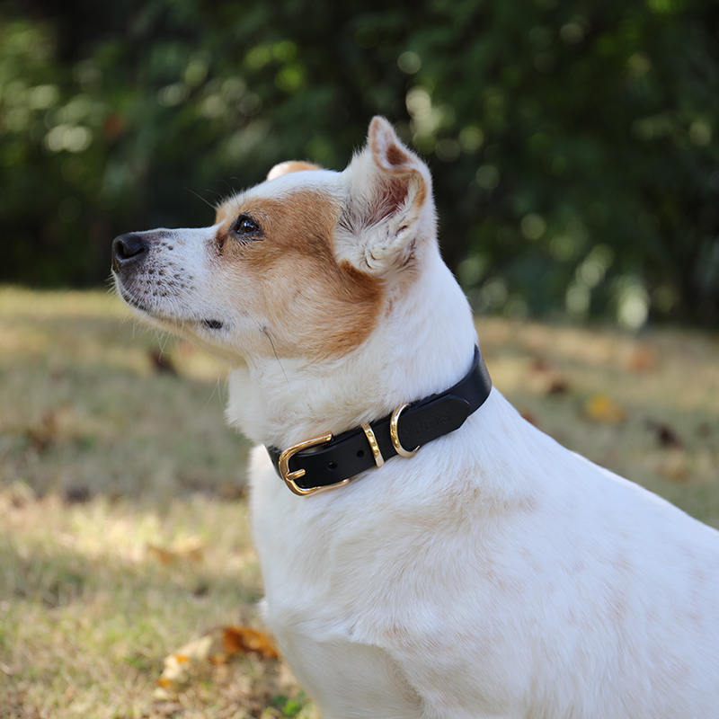 OKEYPETS - Collier pour chien OKEYPETS personnalisé, disponible en différentes tailles, en cuir de vachette véritable robuste et rembourré. 8