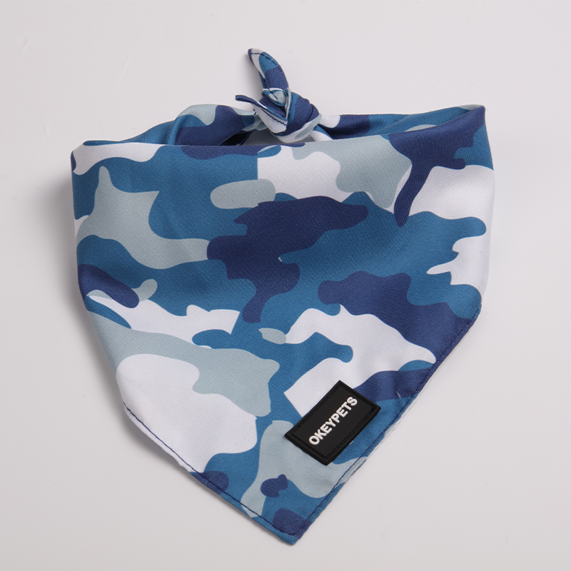 Sudarium Caninum Sinense Utrinque Impressum Sudarium Caninum Autumnale 11