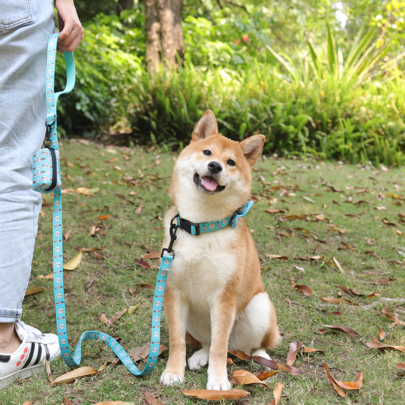 OKEYPETS Accessoires pour animaux de compagnie - Sac à déjections canines en néoprène imprimé zèbre - Distributeur de sacs à déjections canines 12