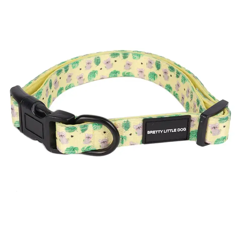 Padded Neoprene Dog Collar - Personalized 2