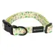 Padded Neoprene Dog Collar - Personalized 2