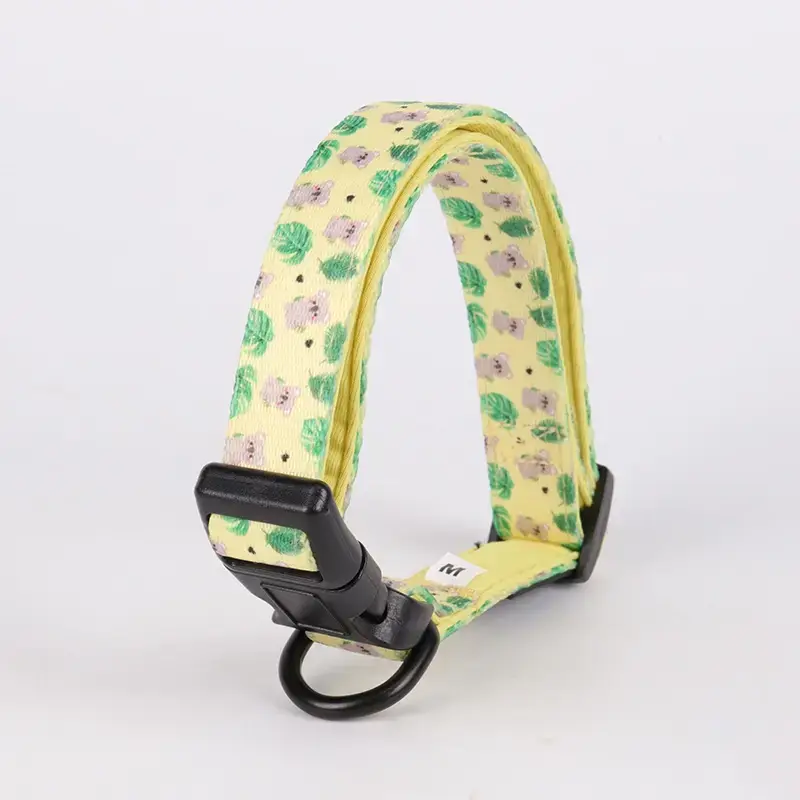 Padded Neoprene Dog Collar - Personalized 3