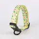 Padded Neoprene Dog Collar - Personalized 3