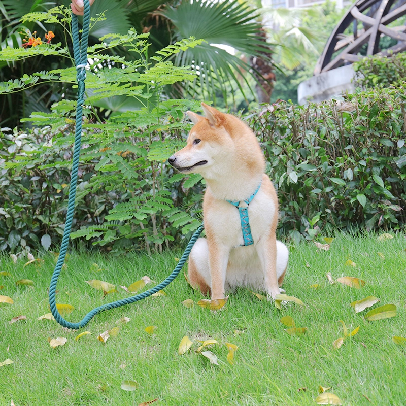 Laisse pour chien OKEYPETS personnalisée, robuste et durable, en coton vert résistant, idéale pour les promenades en extérieur. 11