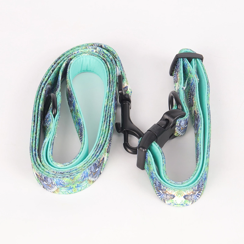 Okeypets Collier pour chien rembourré en néoprène doux, confortable, respirant et ajustable, avec laisse et collier inclus. 10