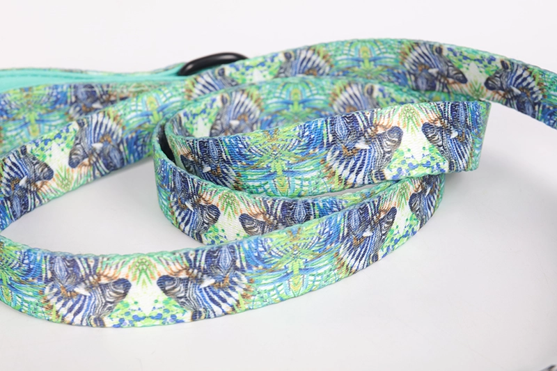 Okeypets Collier pour chien rembourré en néoprène doux, confortable, respirant et ajustable, avec laisse et collier inclus. 13