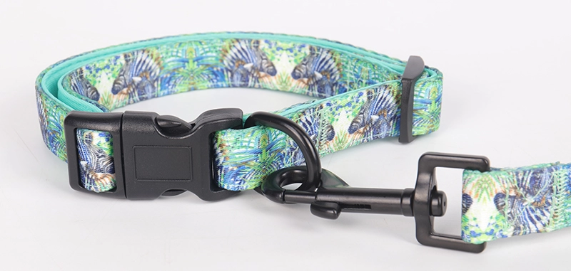 Okeypets Collier pour chien rembourré en néoprène doux, confortable, respirant et ajustable, avec laisse et collier inclus. 12