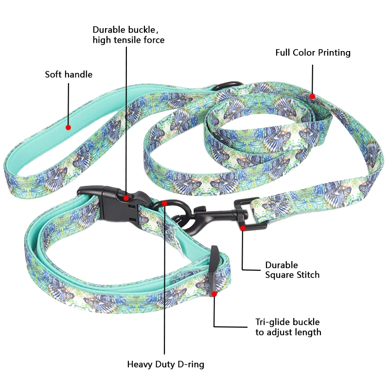 Okeypets Collier pour chien rembourré en néoprène doux, confortable, respirant et ajustable, avec laisse et collier inclus. 9