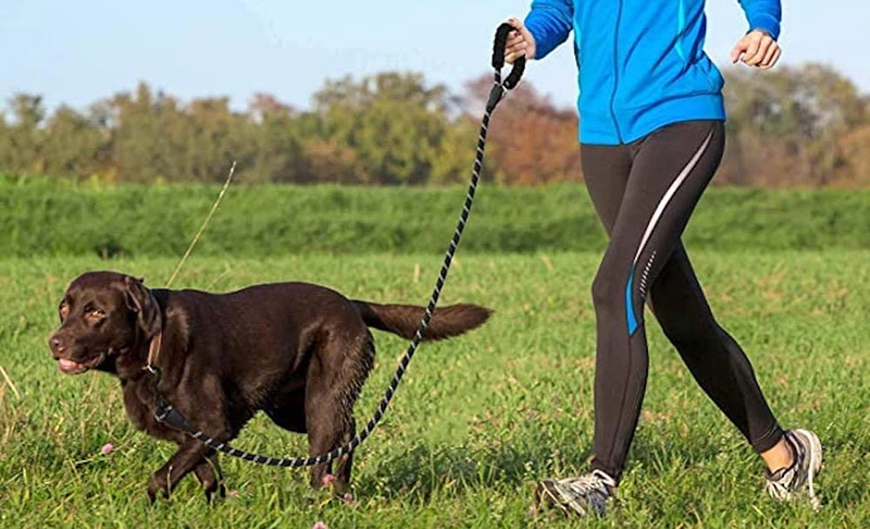 Laisse OKEYPETS en nylon épais et résistant, avec poignée rembourrée douce et confortable, et corde réfléchissante pour grands chiens. 14