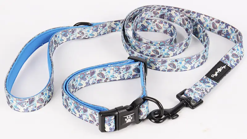 Ensemble collier et laisse OKEYPETS pour chiens et chats, idéal pour les promenades, la course et l'entraînement en extérieur. Convient aux chiens de petite, moyenne et grande taille. 1