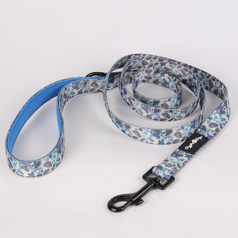 Ensemble collier et laisse OKEYPETS pour chiens et chats, idéal pour les promenades, la course et l'entraînement en extérieur. Convient aux chiens de petite, moyenne et grande taille. 8