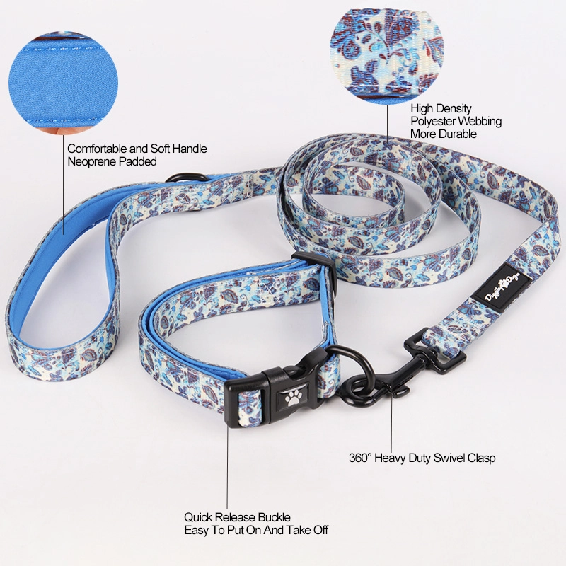 Ensemble collier et laisse OKEYPETS pour chiens et chats, idéal pour les promenades, la course et l'entraînement en extérieur. Convient aux chiens de petite, moyenne et grande taille. 7