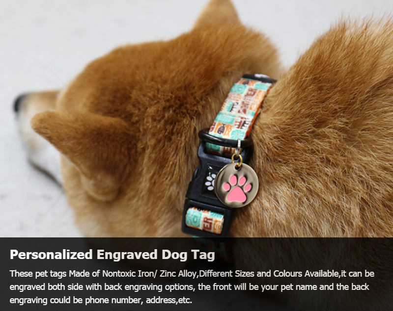 OKEYPETS Médaille d'identification personnalisée pour chien et chat, gravée recto verso 8