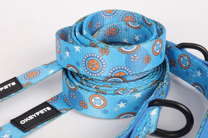 Okeypets personalizirane ogrlice i povodci za pse, mekane podstavljene ogrlice za pse i mačke s ručkom, set povodaca za šetnju i trčanje 10