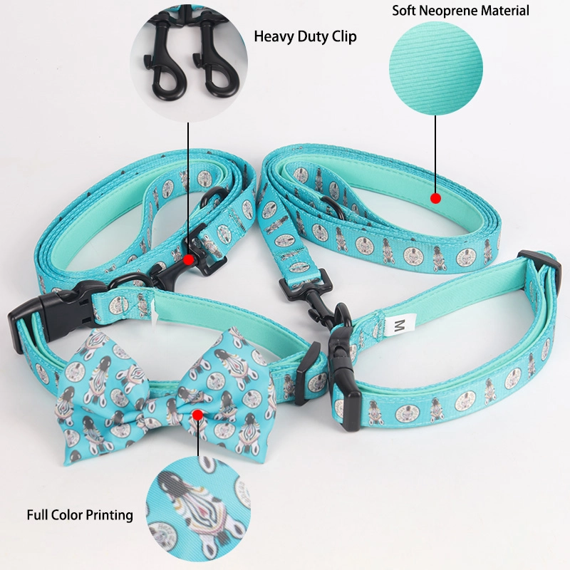 Set Tali Kolar Anjing OKEYPETS, Set Kolar Anjing dengan Tali Set Kolar dan Tali Anjing Padanan Boleh Laras 11