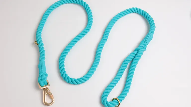 Udtrækkelig hundesnor til engrospriser | OKEYPETS 3