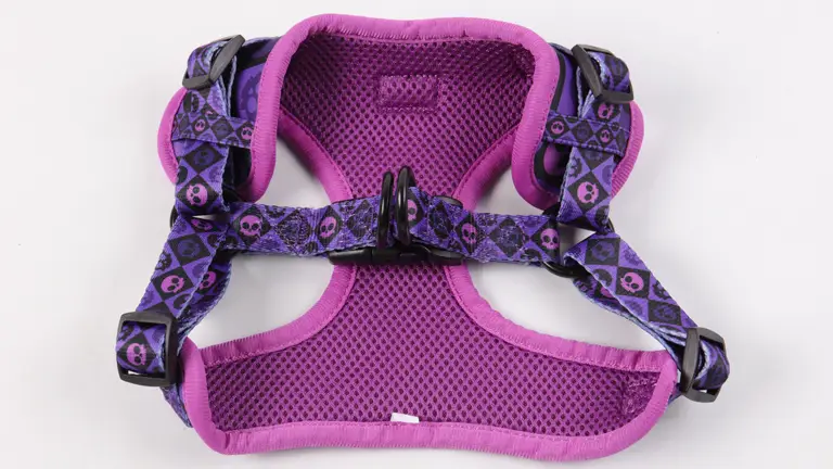 Harnais pour chien au design original et tendance, anti-traction, haut de gamme, respirant, avec boucle blanche. 1