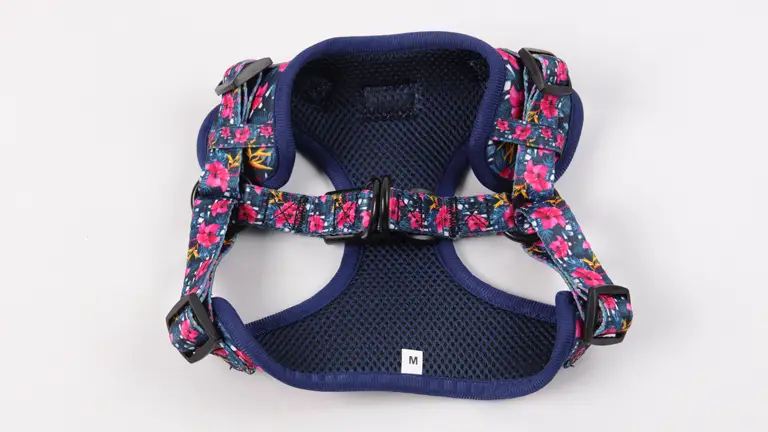 Harnais pour chien ajustable, laisse, collier de luxe, harnais pour animaux de compagnie, porte-sacs à déjections canines, nœud papillon et sangle réfléchissante 1