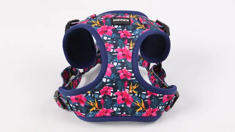 Set de hamuri de designer, din neopren, cu șosete roșii, reglabil și personalizat, pentru câini, cu sistem de prindere rapidă 1