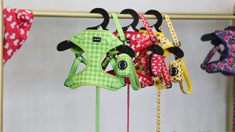 Harnais pour chien personnalisé avec collier et laisse, impression par sublimation, en néoprène, réglable, avec logo. 1