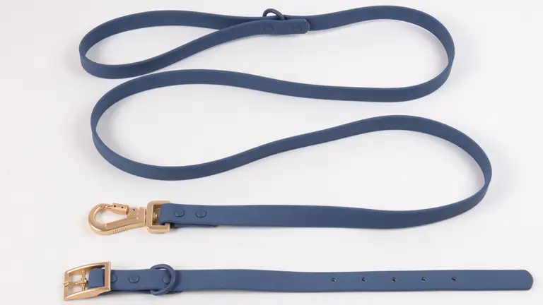 Ensemble collier et laisse de luxe imperméable et résistant pour chien, avec étiquette nominative personnalisée. Collier en PVC. 1