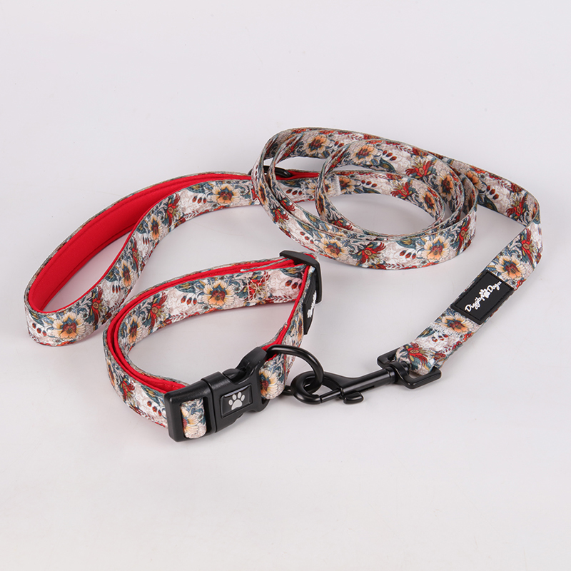 OKEYPETS Nouveau collier pour animaux de compagnie imprimé personnalisé, clip en néoprène, collier de sécurité pour chien 8