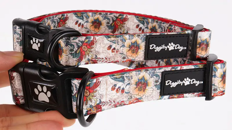 OKEYPETS Nouveau collier pour animaux de compagnie imprimé personnalisé, clip en néoprène, collier de sécurité pour chien 1