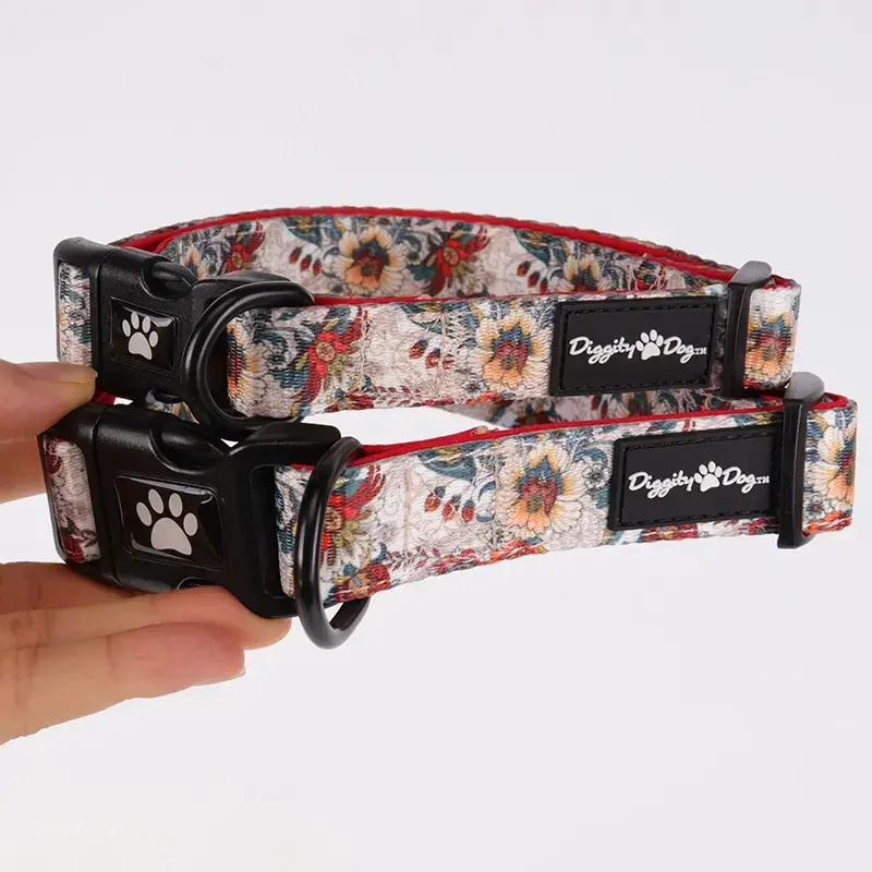 バックル付きパッド入り犬用首輪 - あらゆる犬種に快適で耐久性に優れています 3