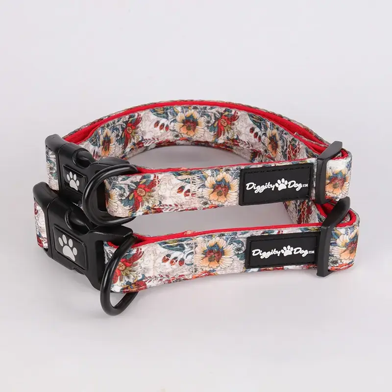 バックル付きパッド入り犬用首輪 - あらゆる犬種に快適で耐久性に優れています 2