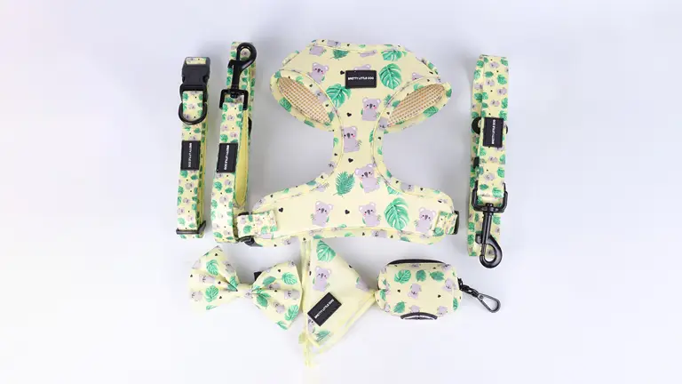 Harnais pour chien en néoprène de créateur, logo imprimé personnalisé, vente en gros, petit harnais de luxe mignon en néoprène 1