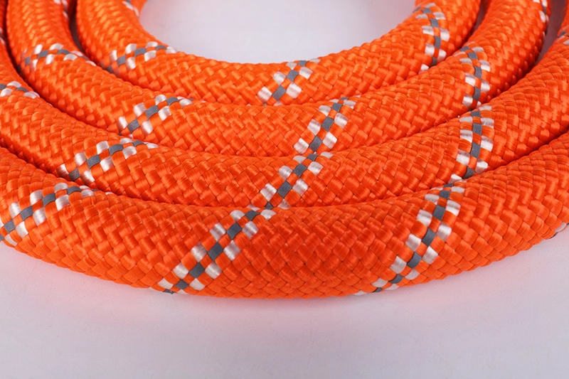 Laisse pour chien OKEYPETS avec poignée rembourrée confortable, corde robuste et résistante et fils hautement réfléchissants pour grands chiens 12