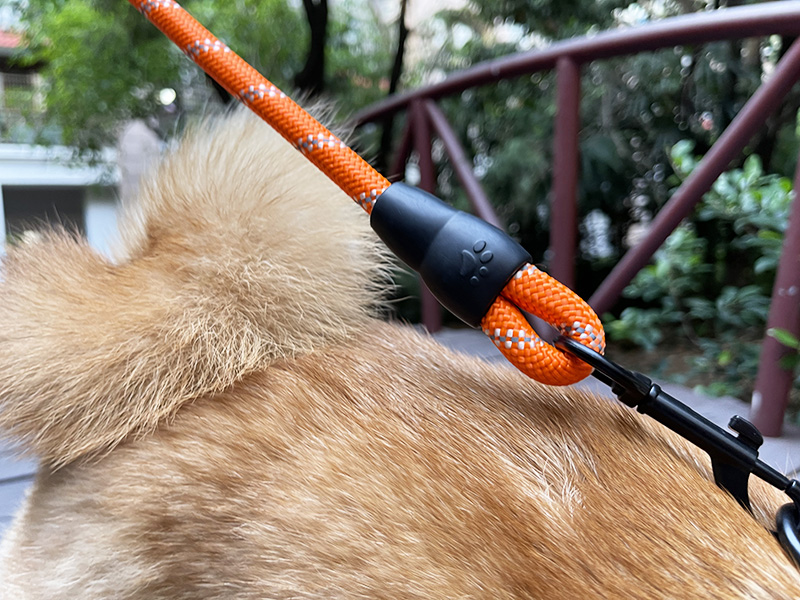 Laisse pour chien OKEYPETS avec poignée rembourrée confortable, corde robuste et résistante et fils hautement réfléchissants pour grands chiens 17