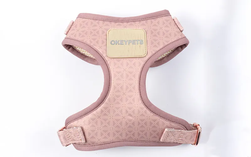 La migliore imbracatura personalizzata per bulldog francesi | OKEYPETS 4