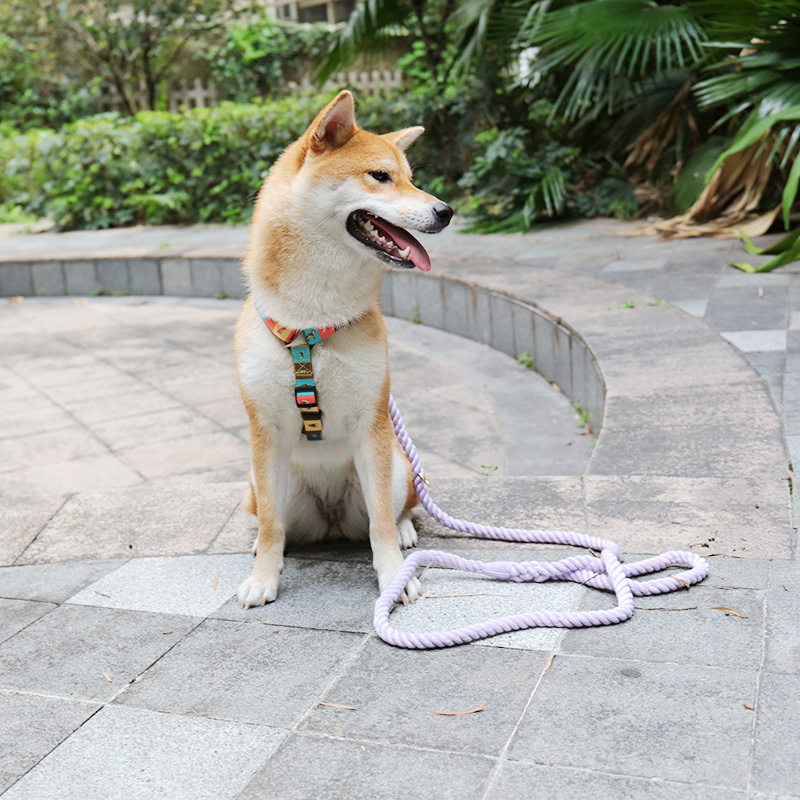 Laisse pour chien OKEYPETS en coton robuste et durable, fabriquée à la main, pour chien moyen ou grand. Convient aux chiens de taille moyenne ou grande. 16