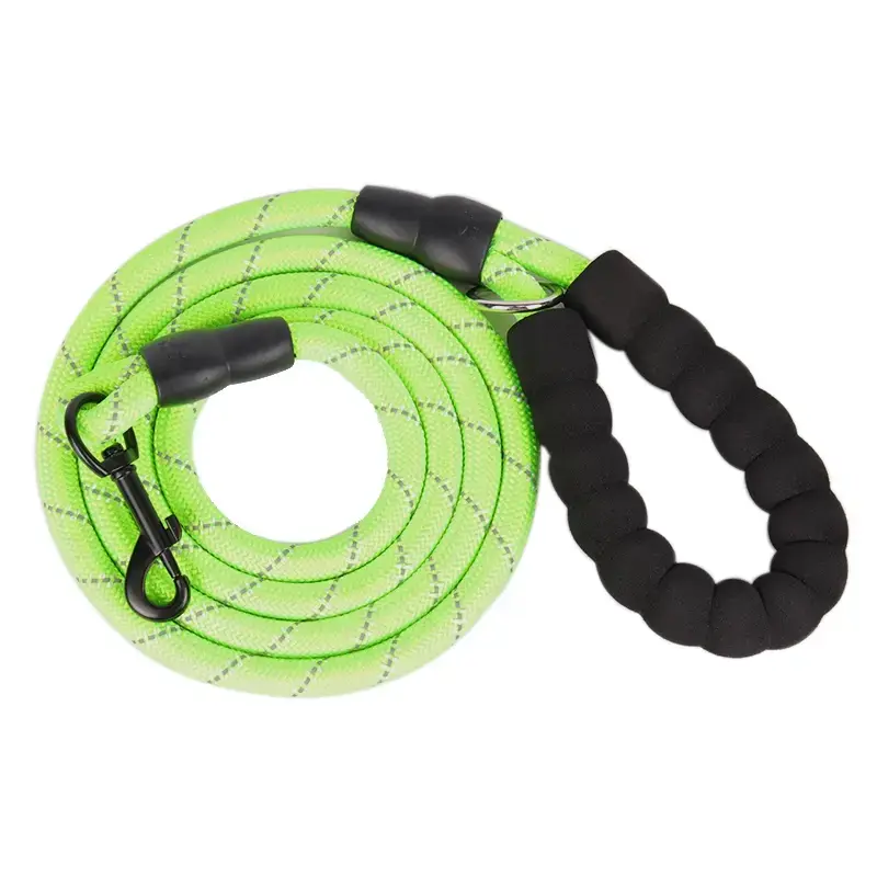 Strapazierfähige, reflektierende Hundeleine – perfekt zum Wandern 2