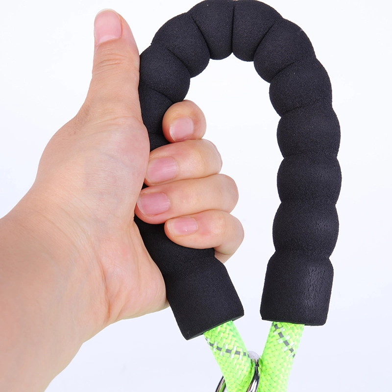 Laisse pour chien OKEYPETS en nylon résistant, hautement réfléchissante pour une sécurité optimale la nuit, avec poignée souple. 13