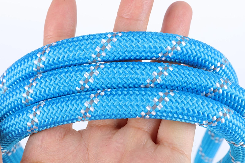 Laisse de sécurité OKEYPETS confortable, robuste et durable en corde avec poignée rembourrée pour chien, idéale pour l'entraînement, la course, les promenades ou les randonnées. 10