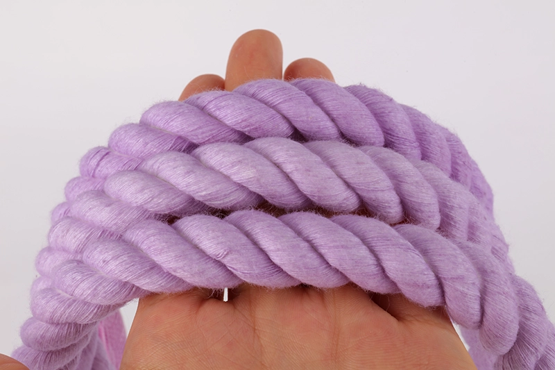OKEYPETS Accessoires pour animaux de compagnie Laisse d'entraînement robuste avec poignée souple, couleur violette, corde tressée antidérapante 10