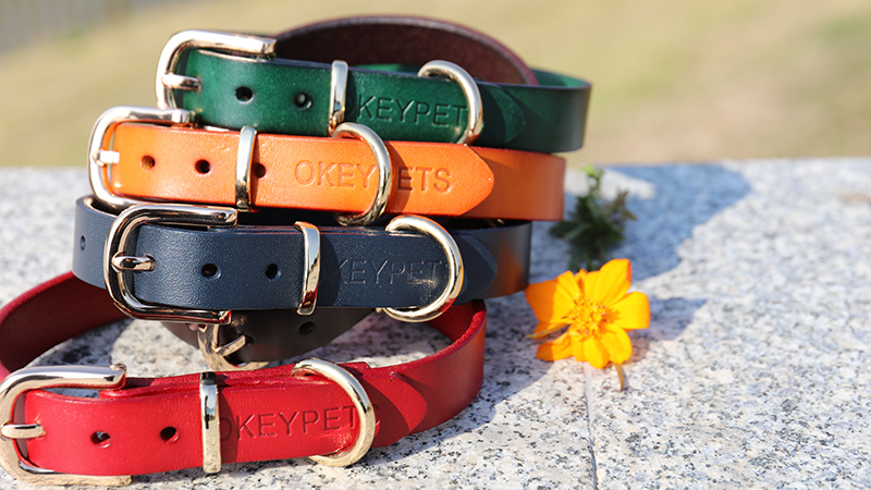  Collier pour chien en cuir imprimé OKEYPETS, couleur unie, de créateur, durable et ajustable - OKEYPETS
