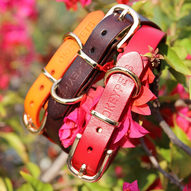Collier pour chien en cuir imprimé OKEYPETS, couleur unie, véritable collier de créateur en cuir durable et ajustable. 17