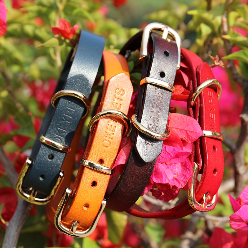 Collier pour chien en cuir imprimé OKEYPETS, couleur unie, véritable collier de créateur en cuir durable et ajustable. 16