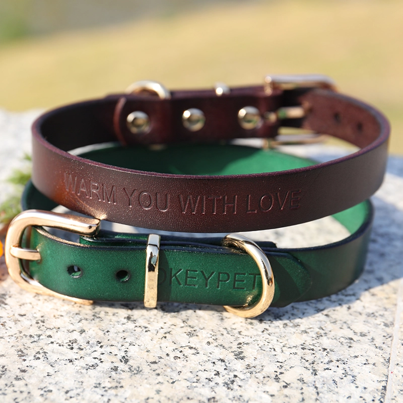 Collier pour chien en cuir imprimé OKEYPETS, couleur unie, véritable collier de créateur en cuir durable et ajustable. 18