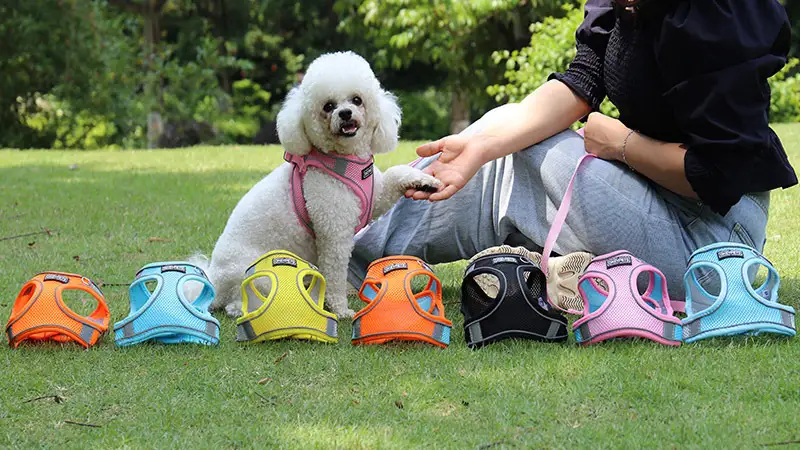 OKEYPETS - Acessórios para animais de estimação: Coleira peitoral anti-puxão para cães, refletora, respirável, ajustável e confortável em malha de ar. 1