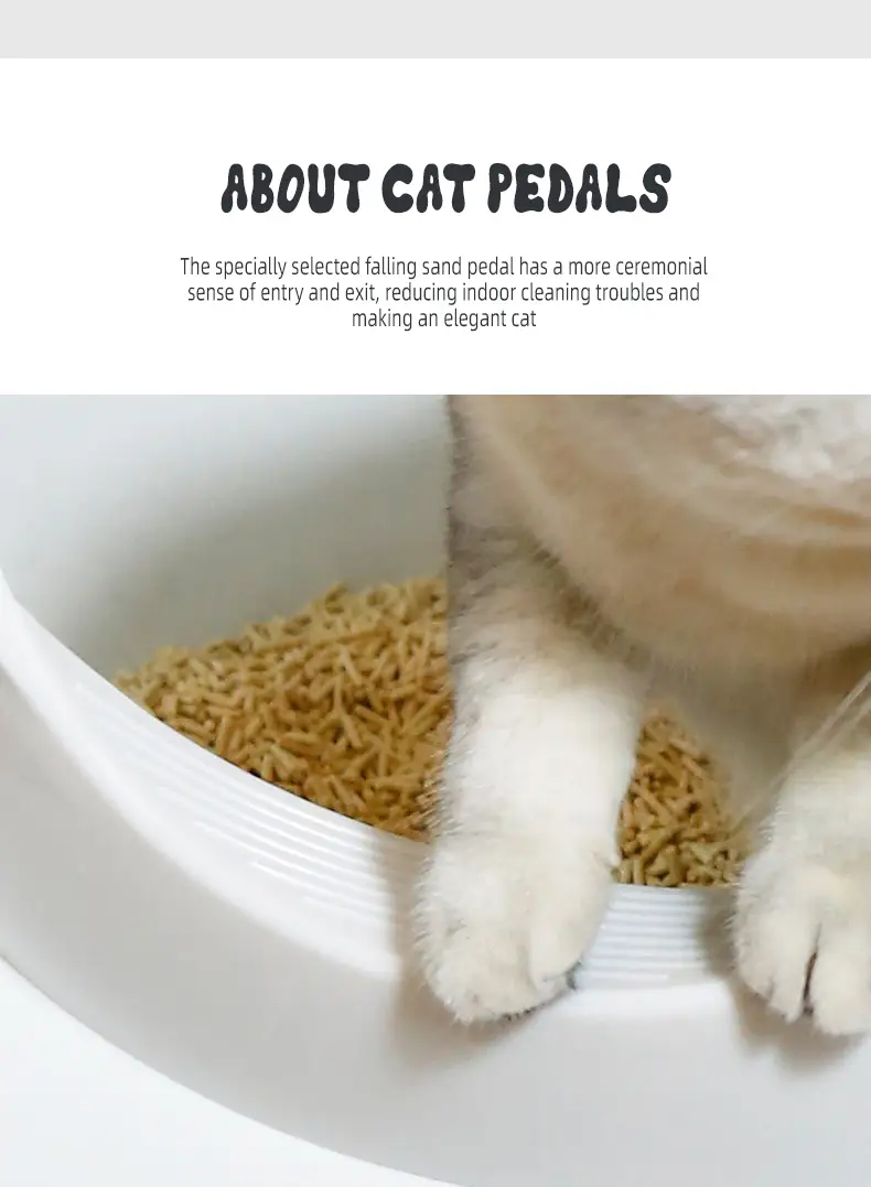 Nuacht - Na 10 Dealbh Fiadhúlra Cré-umha is Coitianta i Meiriceá Thuaidh, image size:790x1077