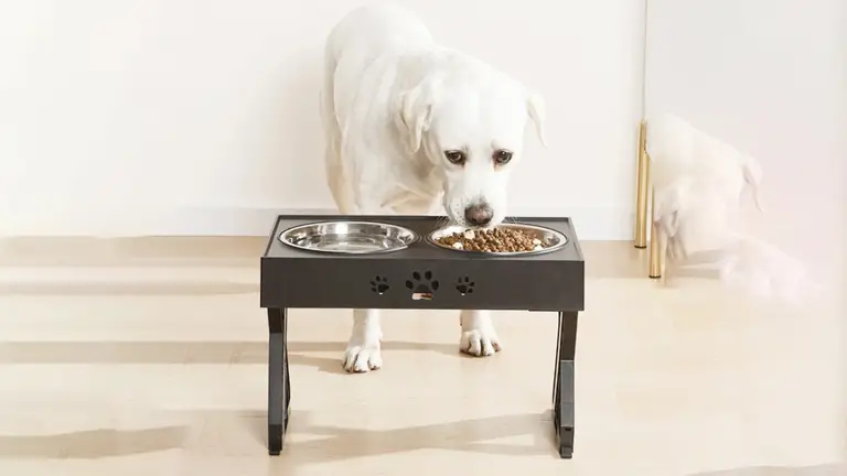 OKEYPETS - Upphöjda Hundskålar Stativ Justerbar Höjd Upphöjd Hundskål i Rostfritt Stål för Husdjursmatare Husdjursmatare 1